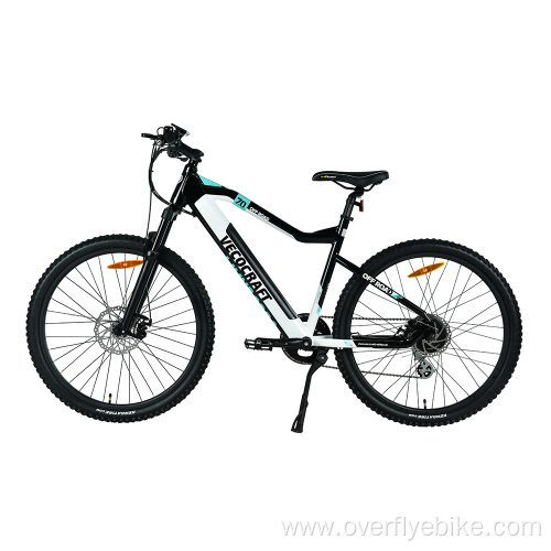 XY-Off road EMTB mountain bike